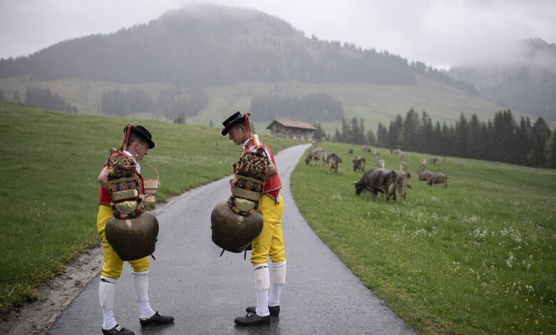 suiza