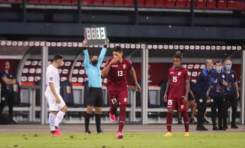 vinotinto