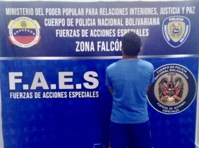 mató a un gato