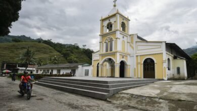 alemanes en venezuela