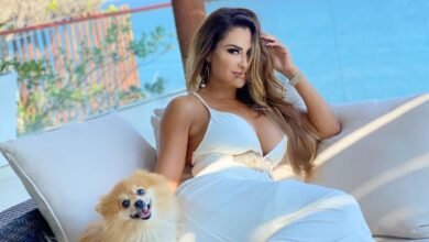 Ninel Conde golpeada