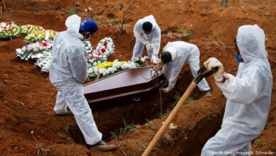 brasil muertes covid