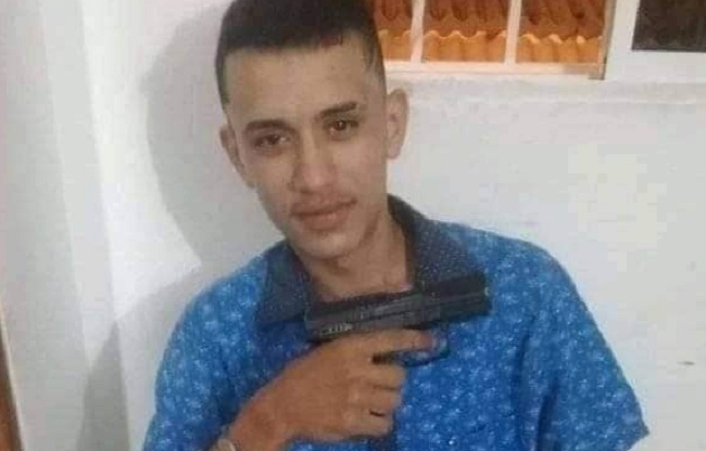 el davisito