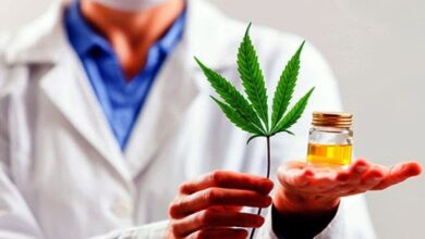 cannabis
