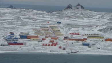 antartica