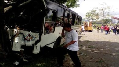 Autobús impacta contra un árbol en Mérida y deja tres heridos