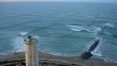 Descubre qué son las “olas cuadradas” y por qué debes salir de la playa al verlas