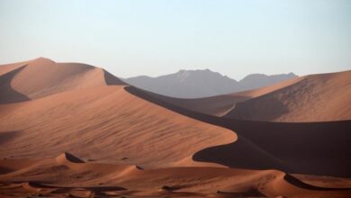 sahara