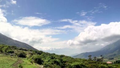 paramo la culata
