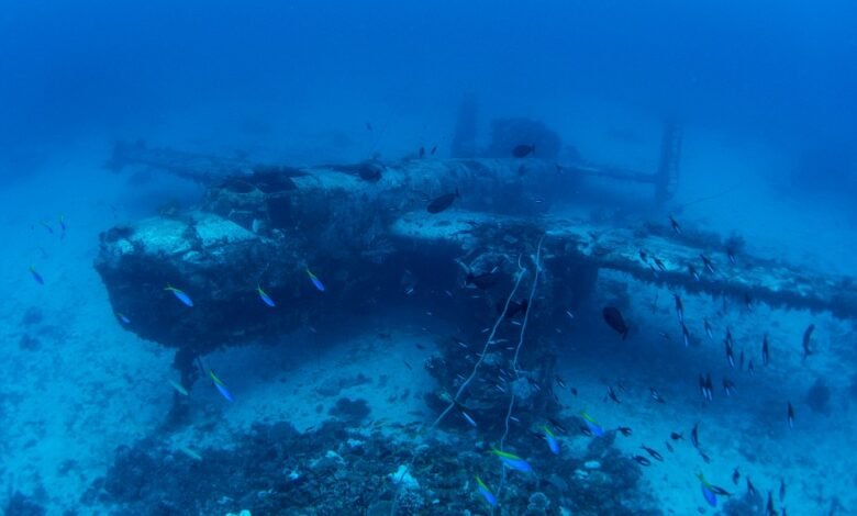 Buceador explora restos de un bombardero de EEUU hundido en la Segunda Guerra Mundial