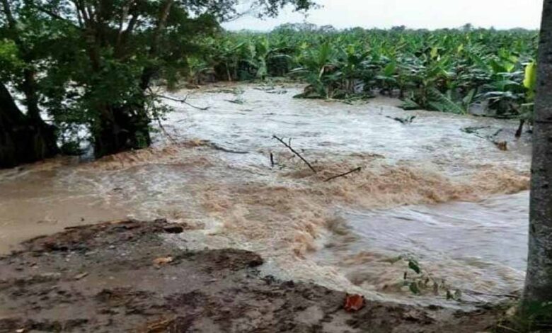 rio mucujepe