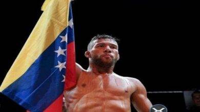 boxeador