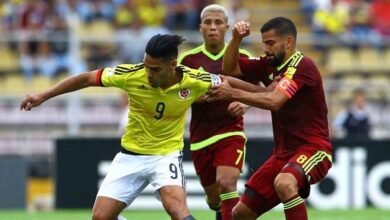 vinotinto