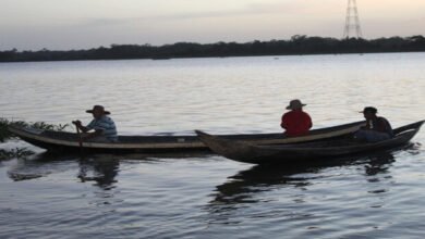 amazonas