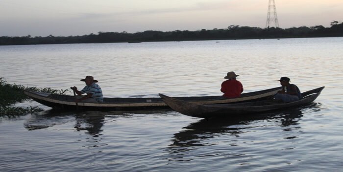 amazonas