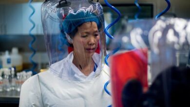 Vinculan a los científicos de Wuhan y el Ejército chino en un proyecto secreto para encontrar el virus de origen animal