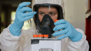 lab