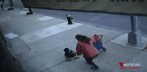 niño cae de edificio