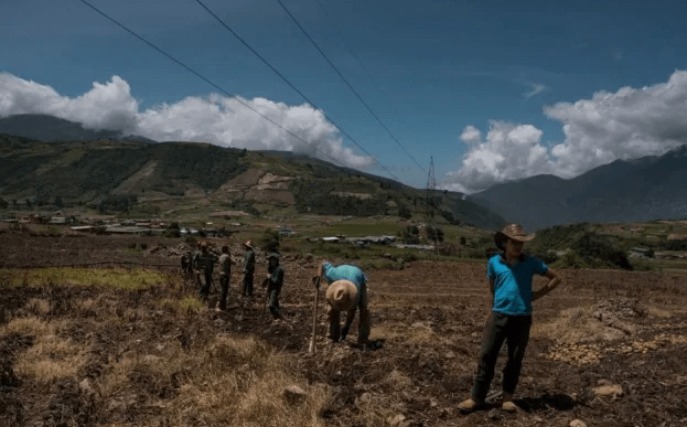 siembra venezuela