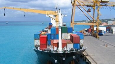 Cámara de Exportadores pide disminuir trámites para dinamizar la economía