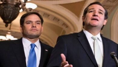 rubio y cruz