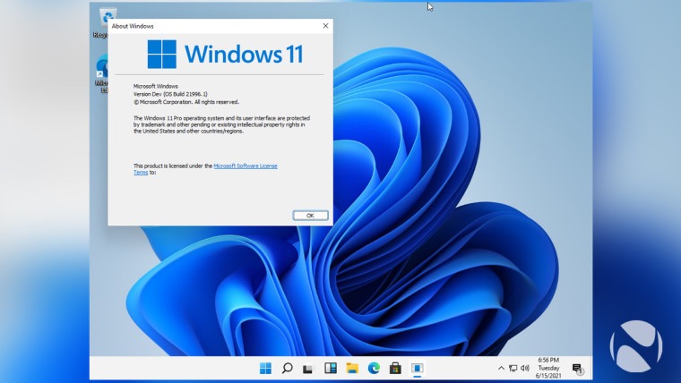 windows 11