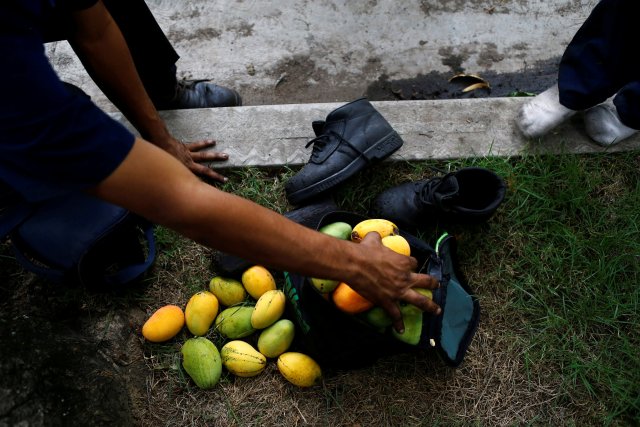mangos