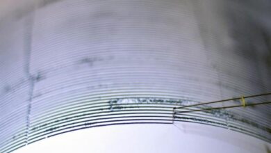 sismo