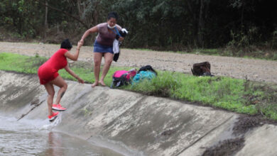migrantes