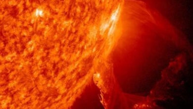 sol