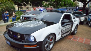 patrullas mustang