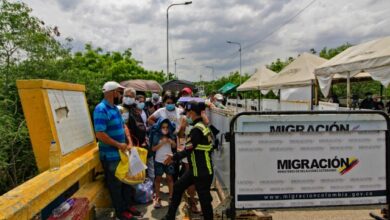 migracion