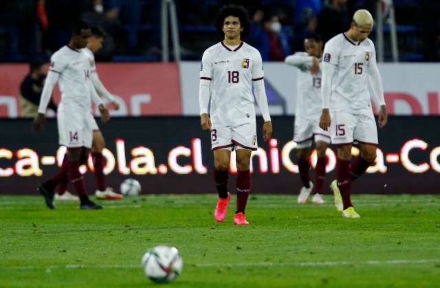 vinotinto