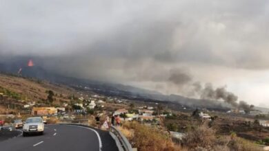 la palma