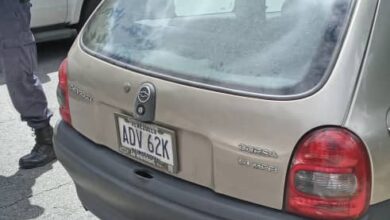muerta dentro del carro