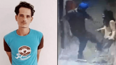 preso mata perros
