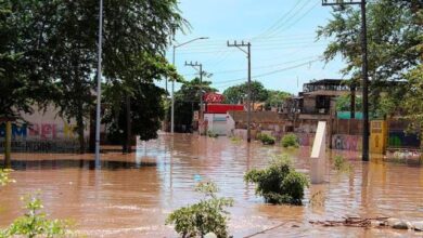 estado mexicano de Nayarit