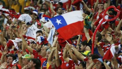 hinchas chile