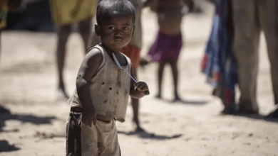 madagascar