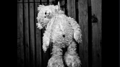 oso peluche
