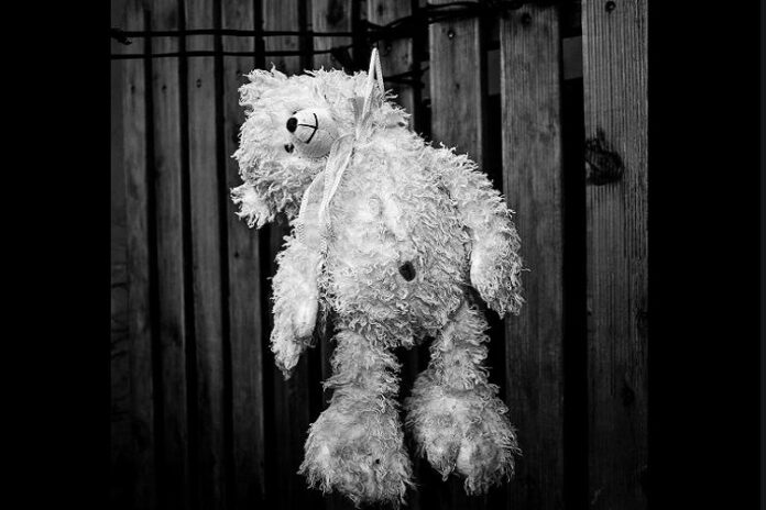 oso peluche
