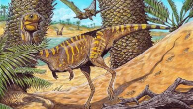 dinosaurio