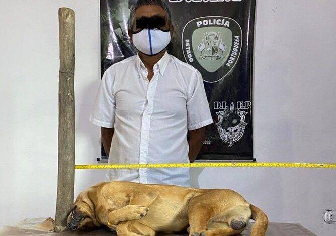 asesino de perros