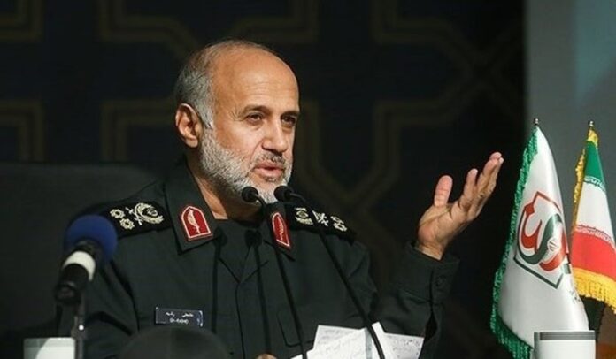 ali rashid