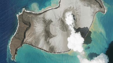 tonga