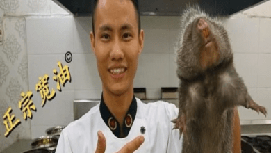 ratas chinas
