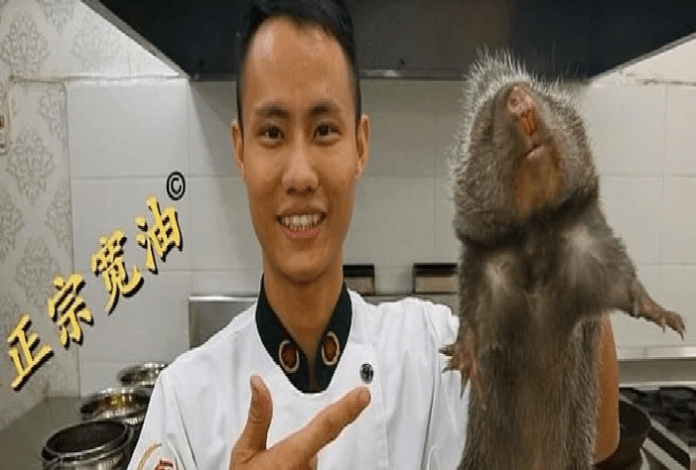 ratas chinas
