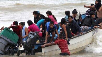 migrantes