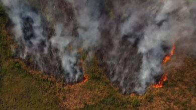 incendio