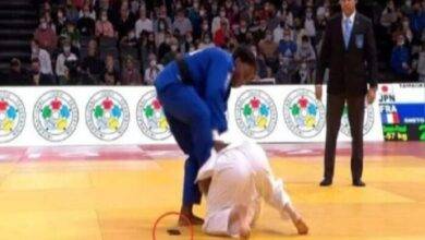 judoca celular